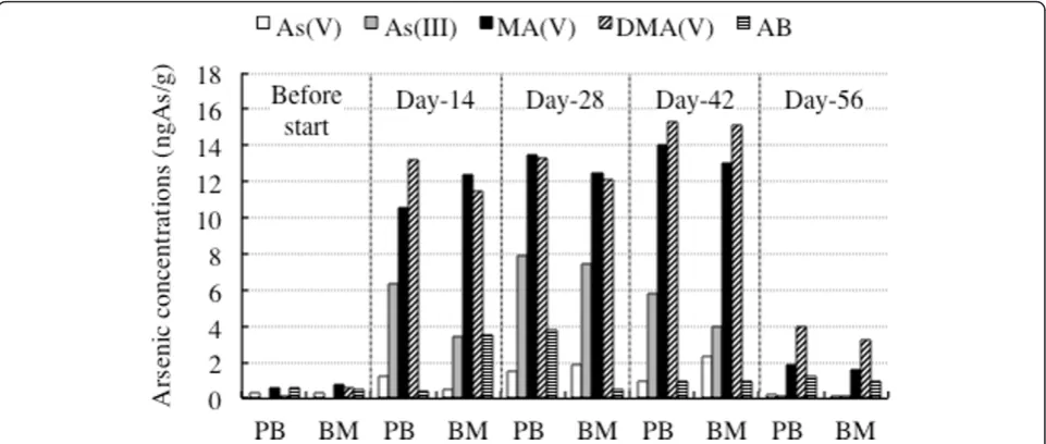 Figure 6 Total arsenic concentrations in HMW-F and LMW-F ofLMW-F of PB and BM plasma were obtained by subtraction of that inPB and BM plasma