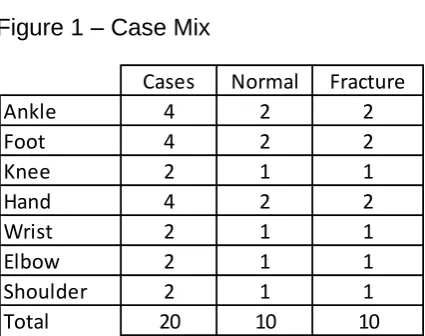Figure 1 – Case Mix 