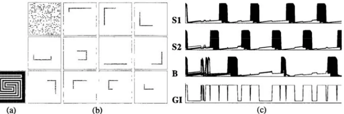 Fig.  4:  Results of  LEGION  without time delays  for  the spiral  problem.  The  parameter values  used  are the same  as  listed in  the caption of Fig
