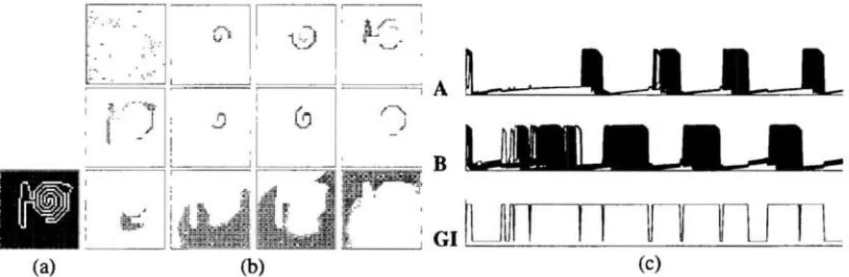 Fig.  6:  Results of LEGION with a time delay  T  =  O.002T  for Fig.  2(b).  The parameter values used  and other statements are the same as listed in the caption of Fig