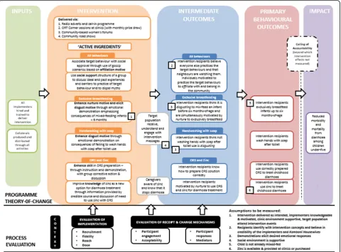 Fig. 1 Process evaluation framework
