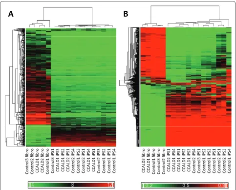 Figure 2 The gene expression and DNA methylation profiles of fibroblasts and iPSCs. (A) A dendrogram generated based on theunsupervised hierarchical clustering analysis of gene expression data from childhood cerebral adrenoleukodystrophy (CCALD) patient an