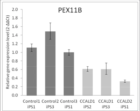 Figure 4 qRT-PCR confirmation of PEX11B gene expression in patient and healthy control iPSCs