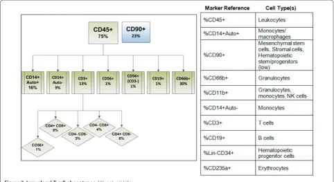 Figure 3. Ixmyelocel-T cell phenotypes. NK, natural killer.