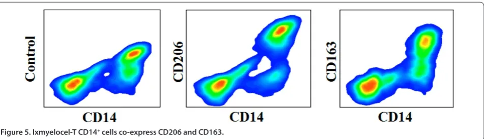 Figure 5. Ixmyelocel-T CD14+ cells co-express CD206 and CD163.