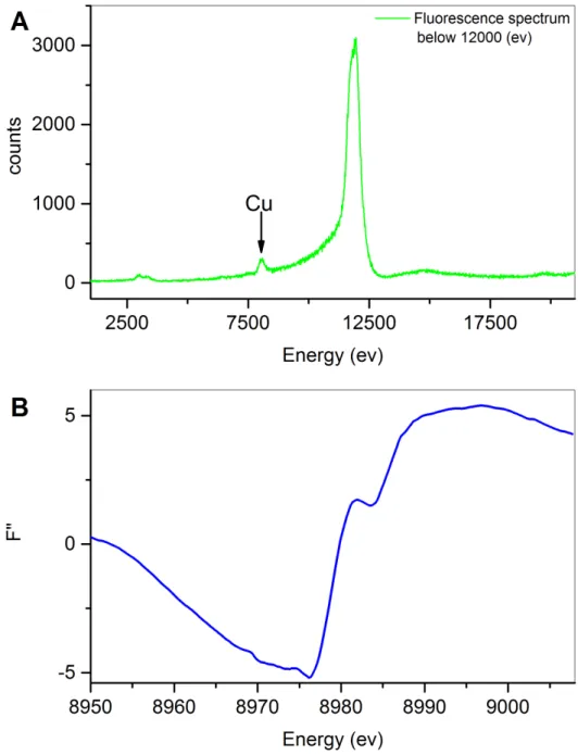 Figure  S3.    Copper  is  bound  in  crystals  of  MerB  D99S.  A)  The  fluorescence  spectrum  below  12000  (ev) shows the presence of copper in crystals of MerB D99S