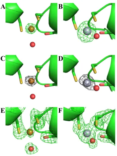 Figure  S4.  Comparison  of  the  active  site  of  the  MerB  D99S-Cu  and  MerB  D99S-Hg  complexes