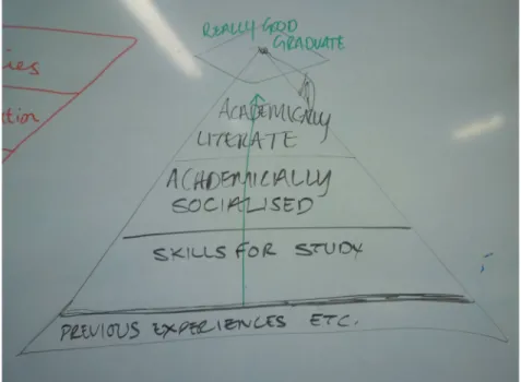 Figure 4.1: Sally’s conception of academic literacies   from reading Lea and Street (1998).