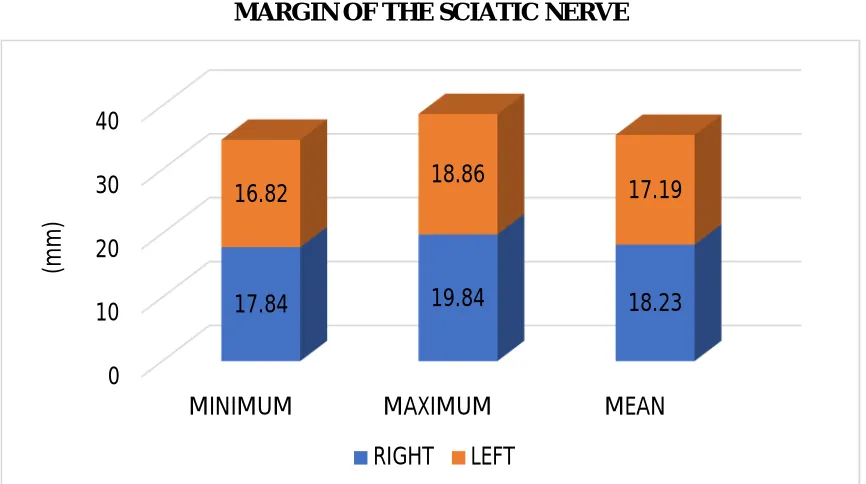 TABLE 4:SACROTUBEROUS LIGAMENT AND THE MEDIAL MARGIN OF THE  DISTANCE BETWEEN THE LATERAL MARGIN OF THE SCIATIC NERVE 