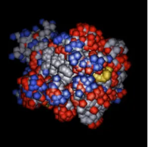 Figure 5: 3D Visualisation for an insulin molecule. 
