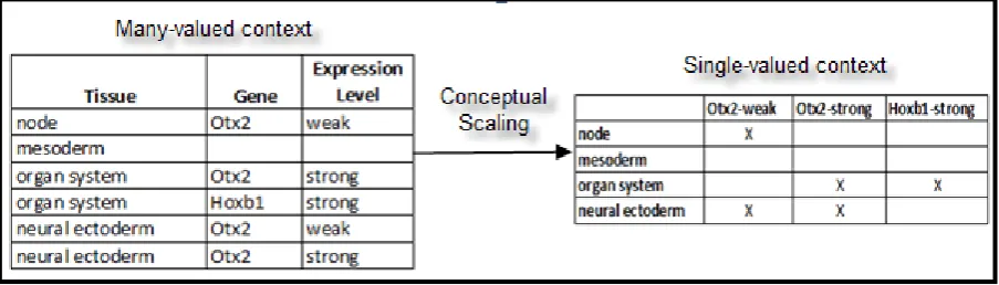 Figure 4: An example of a transformation from many-valued to a single-valued context