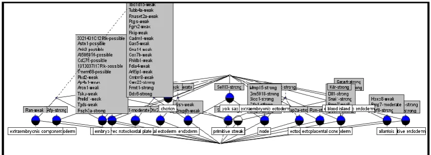 Figure 5: Formal concept illustrating visualisation issues 