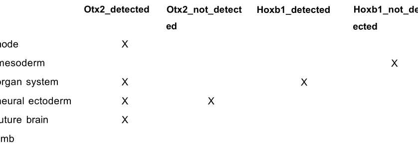 Table 6: Formal context of gene expressions in tissues