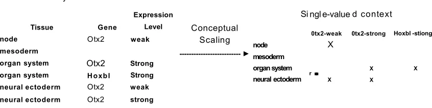 Figure 4: An example of a transformation from many-valued to a single-valued context