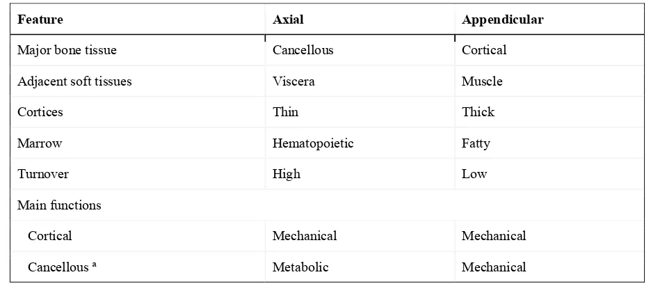 Table 2.1 Subdivision of the Skeleton (Bronner & Worrell, 1999)  