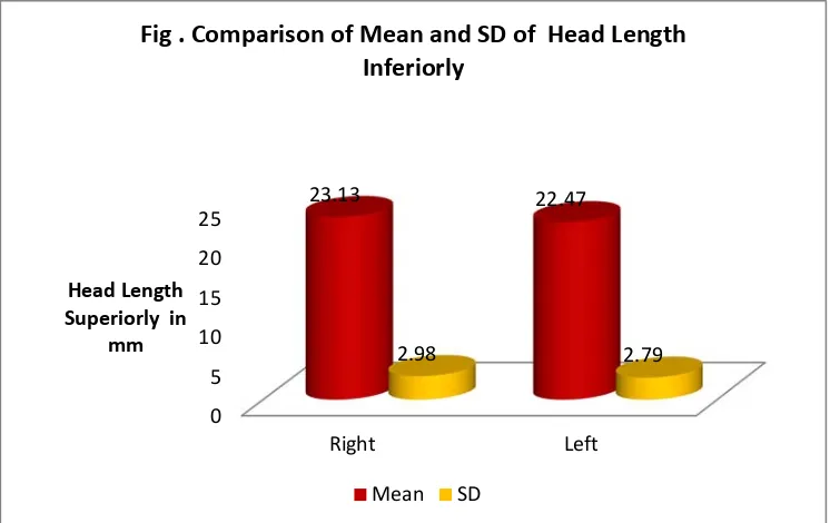 Fig . Comparison of Mean and SD of  Head Length  