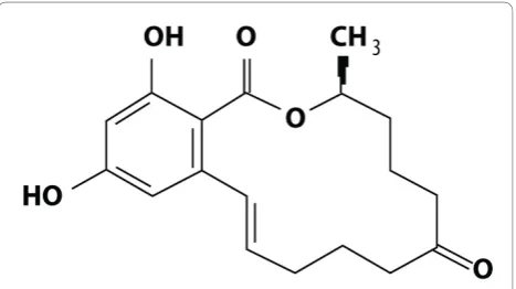 Figure 1 Structure of zearalenone (ZEA; 6-[10-hydroxy-oxo-trans-1-undecenyl]-B-resorcyclic acid lactone).