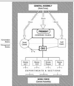 Figure 4 - Governance in Individual MCC Co-operatives 