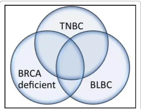 Figure 1 Schematic diagram the represents the significantoverlap that exists between triple-negative (TNBC), basal-likebreast cancer (BLBC) and breast cancer that arises in patientswho have a BRCA mutation
