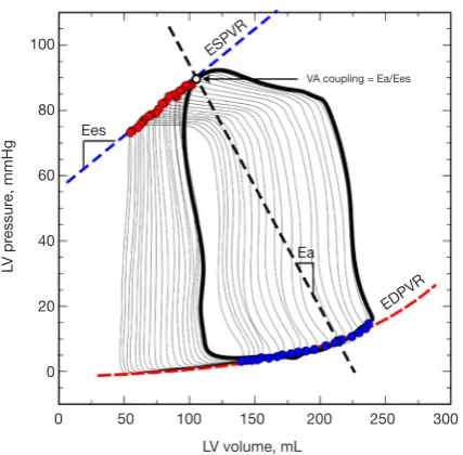 Figure 3 Example of the left ventricular pressure-volume loops during and inferior vena cava occlusion