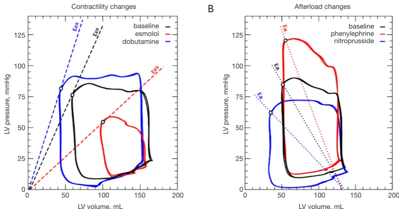 Figure 4 Left ventricular pressure-volume (PV) loops showing the effects of contractility changes on Ees and afterload variations in Ea