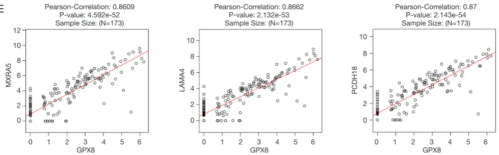 Figure 8 Gene correlation expression analysis for differentially expressed GPXs (LinkedOmics)
