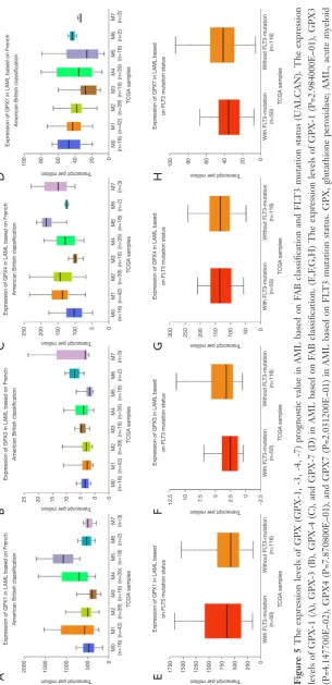 Figure 5 The expression levels of GPX (GPX-1, -3, -4, -7) prognostic value in AML based on FAB classification and FLT3 mutation status (UALCAN)