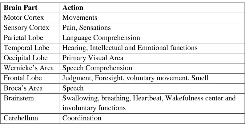 Table 2: Control centers in brain 