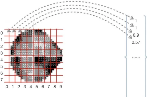 Figure 1 The grayscale map of 24-2 strategy and the grid processing to the grayscale map