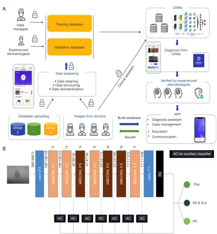 Figure 2 Smartphone platform and deep learning CNN layout. (A) The smartphone platform workflow for AIDDA