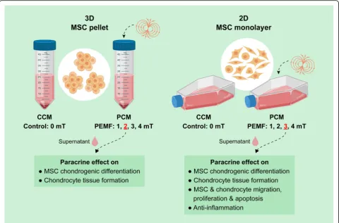 Fig. 1 Schematic illustration of the generation and functional analysis of the CM from MSCs subjected to either 3D or 2D culturing platforms,with (PCM) or without (CCM) PEMF exposure