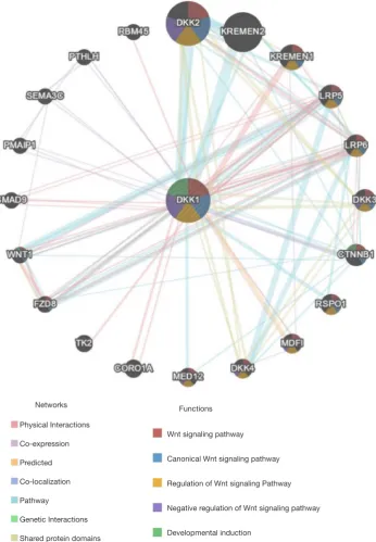 Figure 9 Protein-protein interaction network of DKK1 (GeneMANIA). Protein-protein interaction (PPI) network and functional analysis indicating the gene sets that were enriched in the target network of DKK1