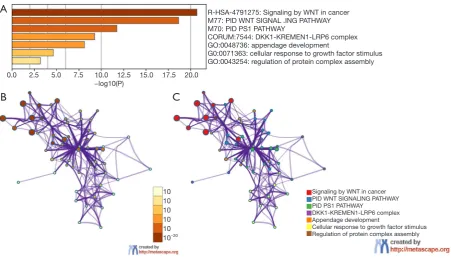 Figure 11 The subgroup analysis types of aberrant DKK1 in lung cancer via cbioportal. (A) Aberrant DKK1 in lung cancer subgroup via cBioPortal