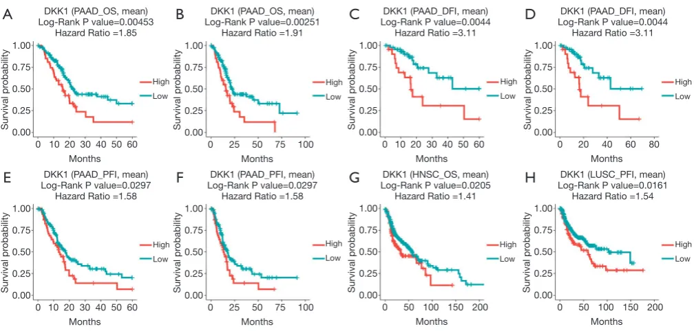 Figure 3 Effect of DKK1 expression level on head and neck squamous cell carcinoma (A) (n=518) and pancreatic adenocarcinoma (B) (n=178)