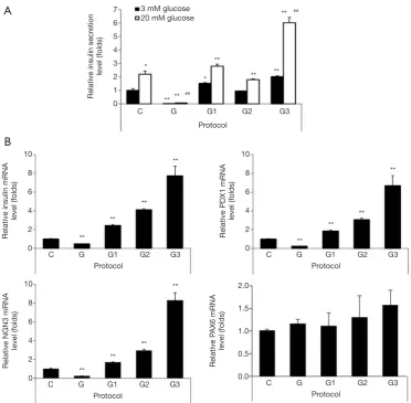 Figure 2 The insulin secretion and beta-cell specific gene expression in IPCs differentiated from hADSCs by supplementation with glucosamine at different stages of differentiation