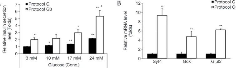 Figure 4 Changes in expression of insulin, PDX1 and NGN3 mRNA after addition of glucosamine in IPCs differentiated by protocol G3