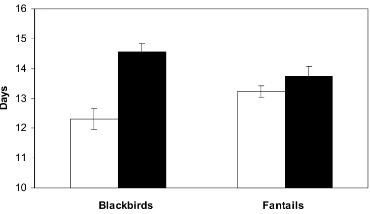 Figure 3.3. Changes in the length of the nestling period of blackbirds and fantails in 