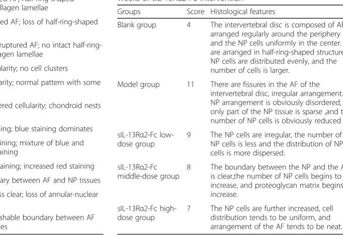 Fig. 2 Masson staining showing the effects of sIL-13Rα2-Fc intervention on intervertebral disc degeneration in rats