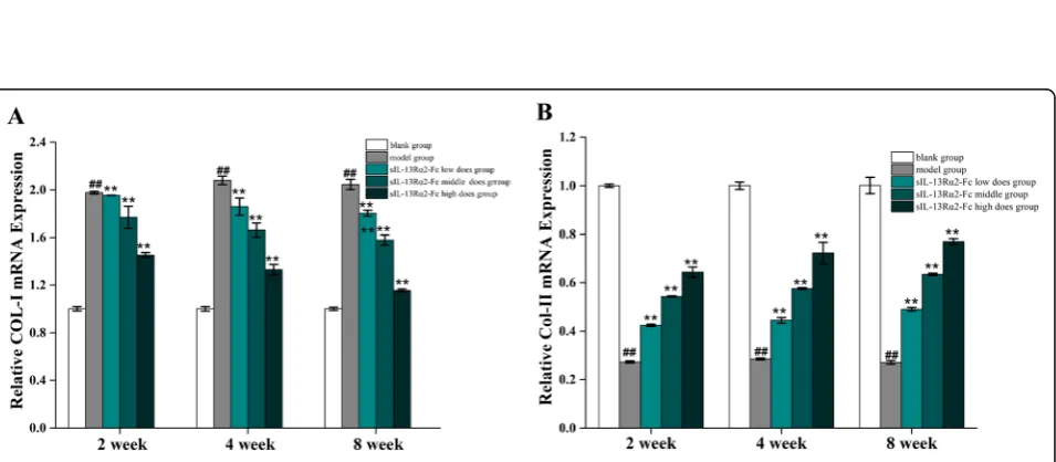 Fig. 3 ELISA analysis of the effects of sIL-13Rα2-Fc intervention on glycosaminoglycan (GAG), hyaluronic acid (HA), and chondroitin sulfate/keratan sulfate (CS/KS) in rat intervertebral disc tissue