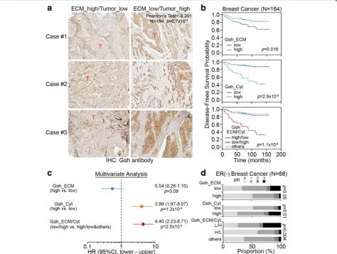 Fig. 4 Clinical significance of extracellular and intracellular Gsamples with the probability of disease-free survival (DFS).extracellular/intracellular Gor combined extracellular/intracellular Gαh