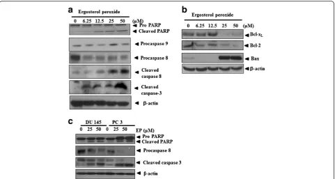 Figure 3 Effect of EP on PARP, procaspase 8/9, cleaved caspase 8/3, Bcl-2, Bcl-XL and Bax in DU 145 prostate cancer cells