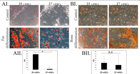 Fig. 2 Culture of vASCs at 35 °C significantly improves their fat differentiation potential