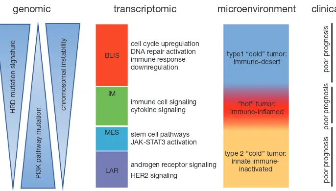 Figure 1 Schematic representation of TNBC molecular subtypes. This figure shows the association of the transcriptomic TNBC subtypes with other tumor characteristics