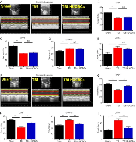 Figure 2 TBI mice treated with HUCBCs exhibited significantly improved cardiac dysfunction compared with TBI mice treated with PBS