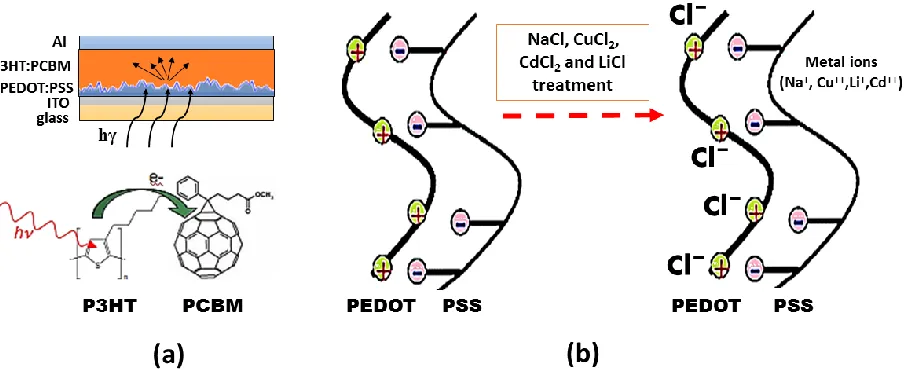 Fig. 3 (a) The cross-section of the P3HT:PCBM solar cell after modifying PEDOT:PSS layer and the scattering of the incident light within the active layer due to PEDOT:PSS surface roughness