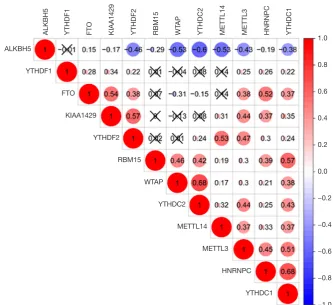 Figure S2 The correlation among 12 m6A RNA methylation regulators. Number in the plots represents Pearce correlation coefficient