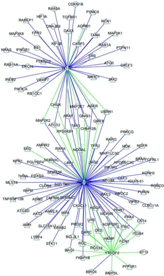 Figure S6 Co-expression network of prognostic m6A RNA methylation regulators with immune and autophagy related genes