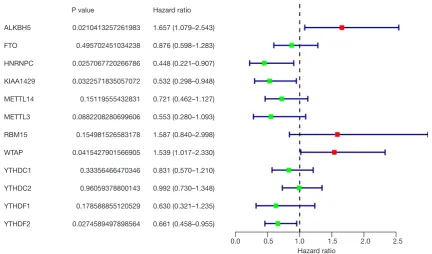 Figure 1 Prognostic m6A RNA methylation regulators. Forest plots of univariate Cox’s proportional-hazards for identification of m6A RNA methylation regulators (red forest plots represent risky factors and green forest plots represents protective factors)