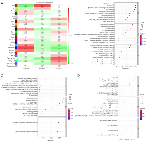 Figure 4 The distinction of mainly biological function among subtypes. (A) Weighted gene co-expression network analysis (WGCNA) in the three sepsis subtypes