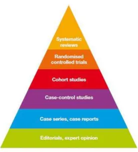 Figure 1: Evidence Hierarchy System 